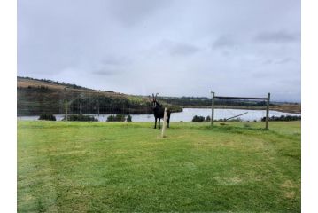 Sable Hill Villa, George - 1