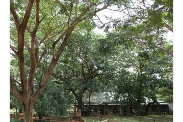 Sandforest Cottages Apartment, Hluhluwe - 3