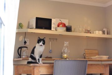 Sarah's Place- Heatherlands,George Guest house, George - 2