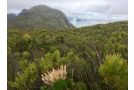 Sea Cottage: Quarterdeck Apartment, Fish hoek - thumb 15