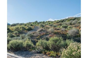 Secure Home in Eco Estate Noordhoek Villa, Cape Town - 2