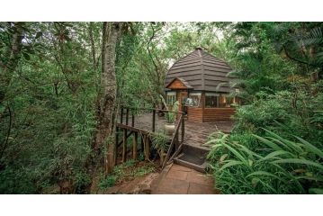 Serenity Mountain and Forest Lodge Guest house, Malelane - 1
