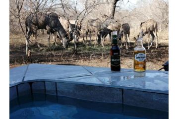 Shades of Nature Apartment, Marloth Park - 1