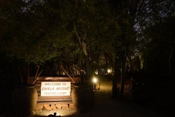 Shala Mushe Tented Camp & Camp Campsite, Bela-Bela - 2