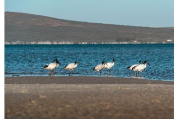 Shark Bay Hotel & Spa Hotel, Langebaan - 3