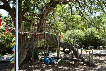 Shepherd's Tree Backpackers Hostel, Knysna - 1