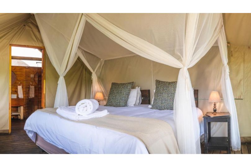 Shindzela Tented Camp Campsite, Timbavati Game Reserve - imaginea 7