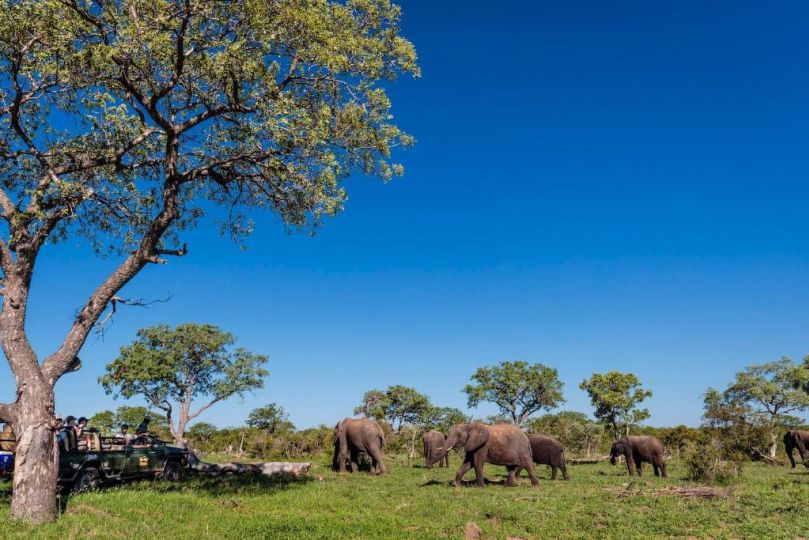 Shindzela Tented Camp Campsite, Timbavati Game Reserve - imaginea 19