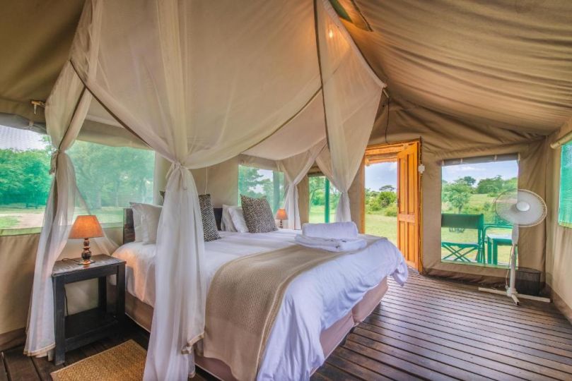 Shindzela Tented Camp Campsite, Timbavati Game Reserve - imaginea 10