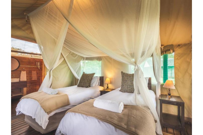 Shindzela Tented Camp Campsite, Timbavati Game Reserve - imaginea 8