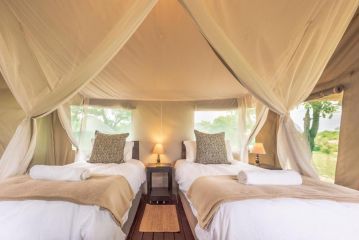 Shindzela Tented Camp Campsite, Timbavati Game Reserve - 3