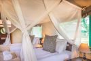 Shindzela Tented Camp Campsite, Timbavati Game Reserve - thumb 5