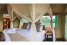 Shindzela Tented Camp Campsite, Timbavati Game Reserve - thumb 9