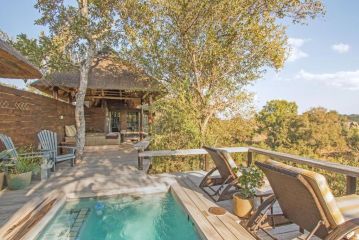 Thornybush Simbambili Lodge Hotel, Sabi Sand Game Reserve - 4