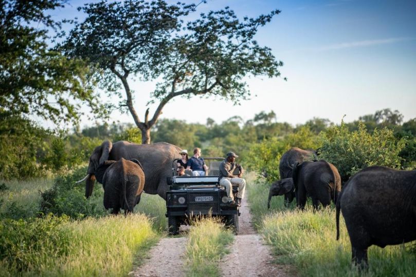 Simbavati Hilltop Lodge Hotel, Timbavati Game Reserve - imaginea 12