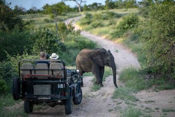 Simbavati Hilltop Lodge Hotel, Timbavati Game Reserve - 4