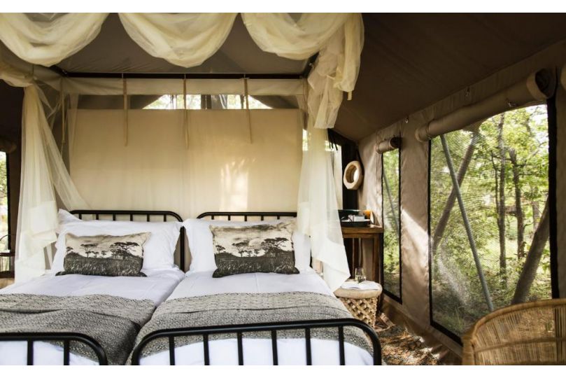 Simbavati Trails Camp Hotel, Timbavati Game Reserve - imaginea 16