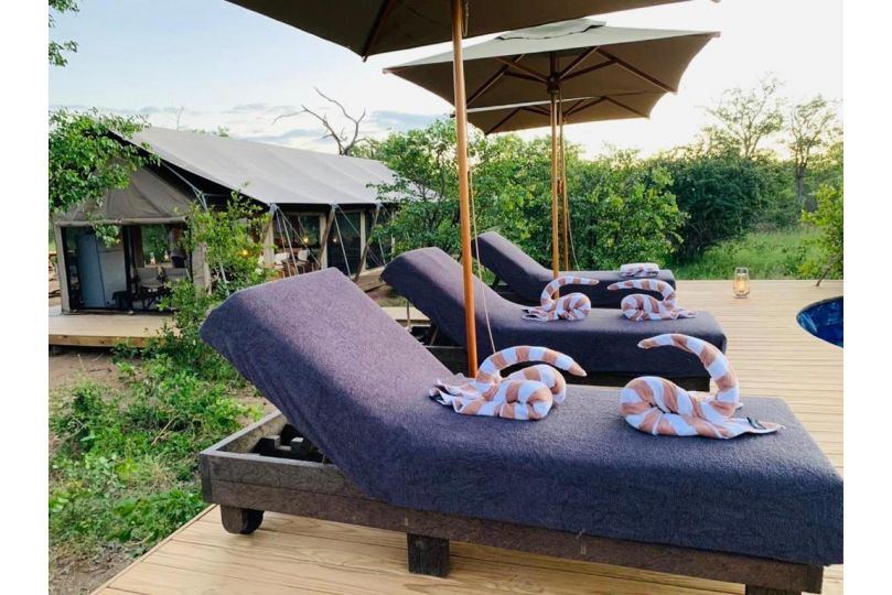 Simbavati Trails Camp Hotel, Timbavati Game Reserve - imaginea 1