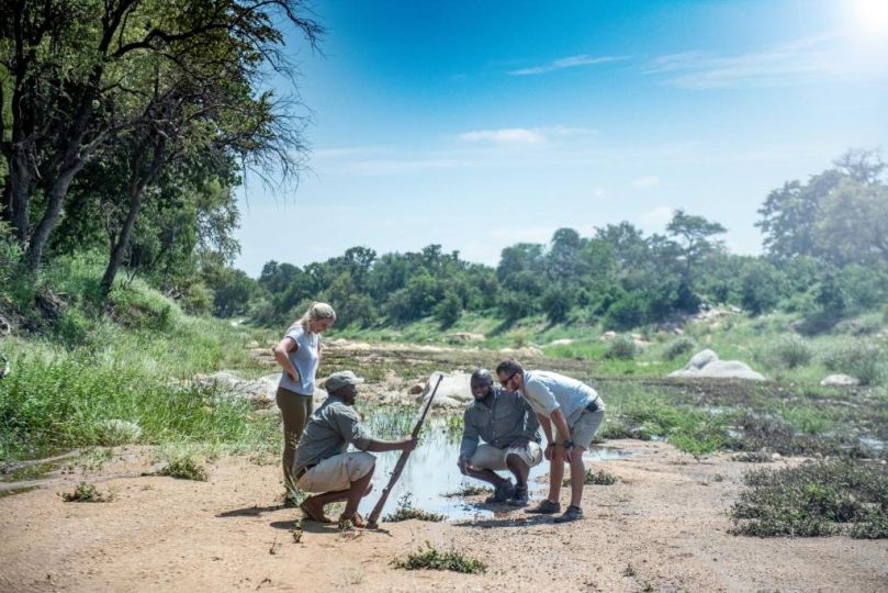 Simbavati Trails Camp Hotel, Timbavati Game Reserve - imaginea 11