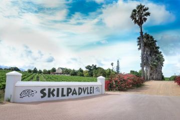 Skilpadvlei Wine Farm Guest house, Stellenbosch - 3