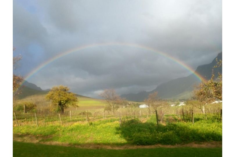 Sonklip Guest house, Stellenbosch - imaginea 19