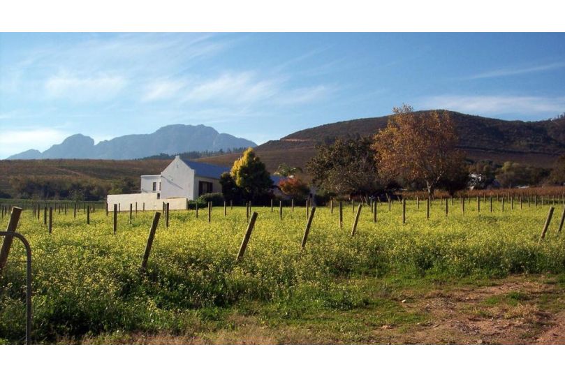 Sonklip Guest house, Stellenbosch - imaginea 11