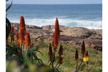 Southern Comfort - Periwinkle Chalet, Margate - 3