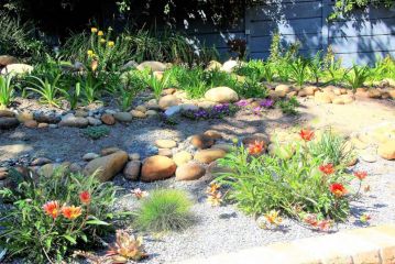 Southern Cross Guesthouse Guest house, Somerset West - 3