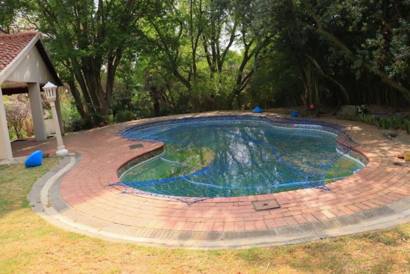 Spacious and Central Lovely Home in Morningside Guest house, Johannesburg - imaginea 16