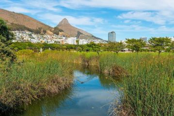 Spacious, Sea Side Apartment w/ Balcony Apartment, Cape Town - 4