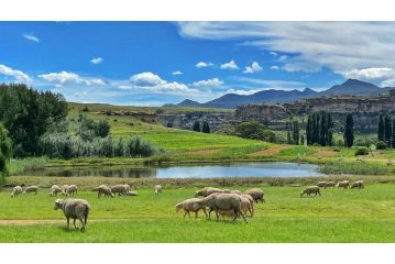 St Fort Farm Guesthouse Guest house, Clarens - 3
