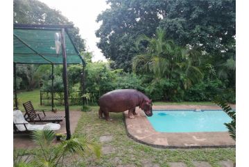 St Lucia Wilds Chalet, St Lucia - 3