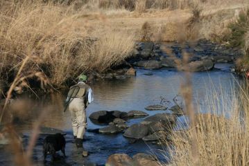 Stonecutters Lodge Hotel, Dullstroom - 3