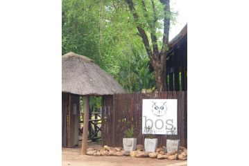 Stories @ Marloth Guest house, Marloth Park - 4