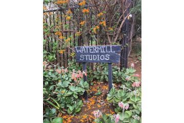 Watermill Studios Farm stay, Gordonʼs Bay - 4