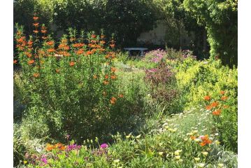 Sunbird Guest house, Hout Bay - 3