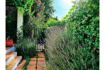 Sunny Lane Apartment, Franschhoek - 2