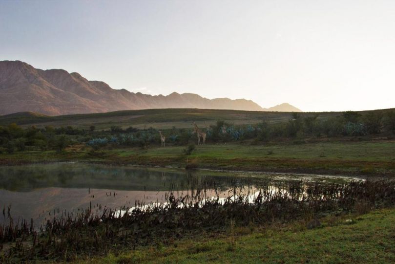 Swartberg Private Game Lodge Villa, Matjiesrivier - imaginea 8