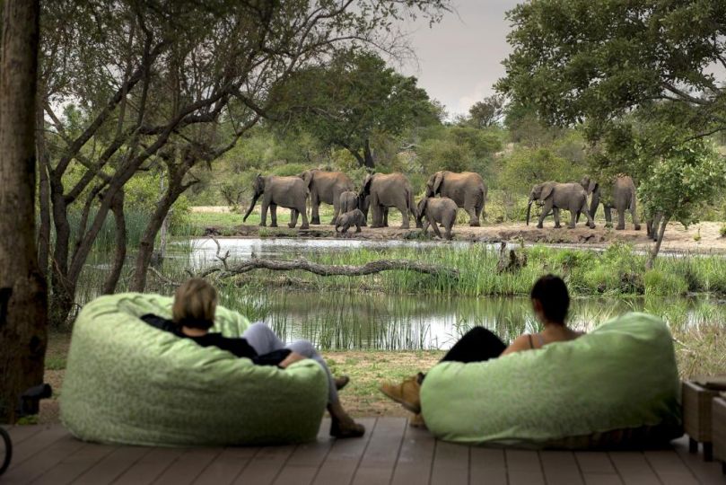 Tanda Tula Safari Camp Hotel, Timbavati Game Reserve - imaginea 5