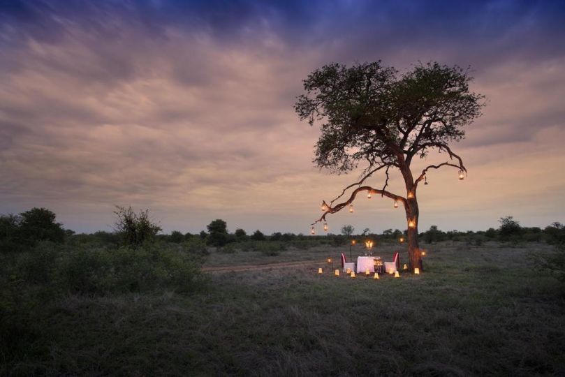 Tanda Tula Safari Camp Hotel, Timbavati Game Reserve - imaginea 4