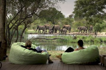 Tanda Tula Safari Camp Hotel, Timbavati Game Reserve - 5