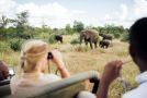 Tanda Tula Safari Camp Hotel, Timbavati Game Reserve - thumb 8