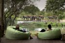 Tanda Tula Safari Camp Hotel, Timbavati Game Reserve - thumb 5