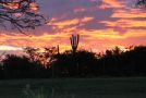 Temba Private Game Reserve Hotel, Grahamstown - thumb 18