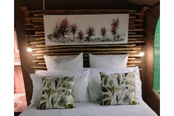 The Bird Hide Hotel, Kloof - 5