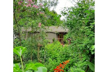 The Bird Hide Hotel, Kloof - 3