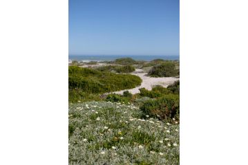 The Duinhuis Yzerfontein Villa, Yzerfontein - 3