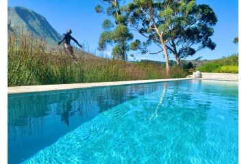 The Guardian Hermanus Luxury Self-Catering Hemel en Aarde Valley Apartment, Hermanus - 5