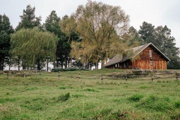 The Log Cabin Guest house, Scotston - 1