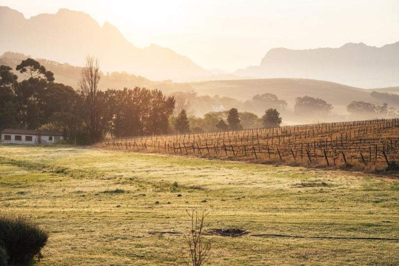 The Log Cabin Lodge Hotel, Stellenbosch - imaginea 17